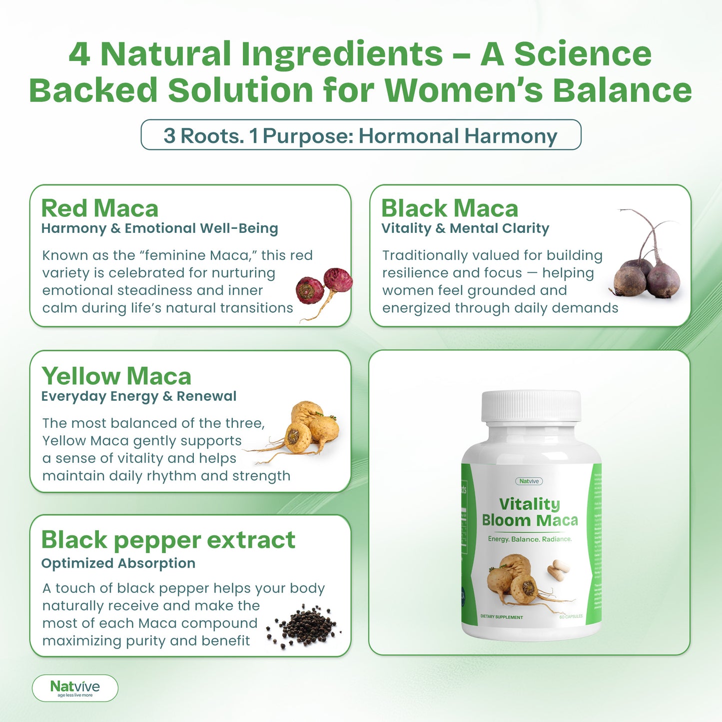 Ancient Peruvian Maca — Rooted in Tradition, Crafted for Modern Balance